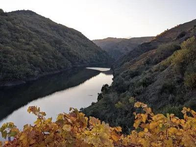 a river in the middle of a valley at La Casita de la Ribeira Sacra in Monforte de Lemos