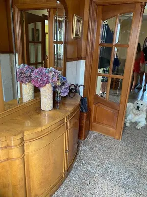 a dog is sitting on a wooden dresser with flowers at ACASADACONCHA in Moeche
