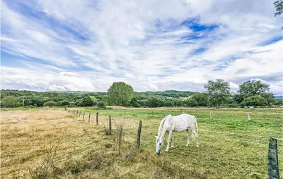 a white horse grazing in a field next to a fence at Beautiful Home In Diomondi With Wifi in Diomondi