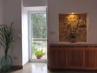 a living room with a window and a plant at Villa Rosa in Silleda