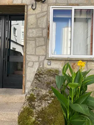 a house with a yellow flower next to a door at CERCA DE TODO in Santiago de Compostela