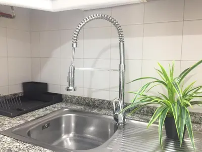 a kitchen sink with a faucet and two plants at Catedral Centro Histórico in Ourense