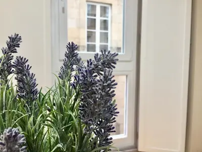 a bunch of purple flowers in front of a window at Catedral Centro Histórico in Ourense