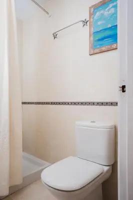 a bathroom with a white toilet and a shower at Apartamentos LÓRIEN Milladoiro in Milladoiro