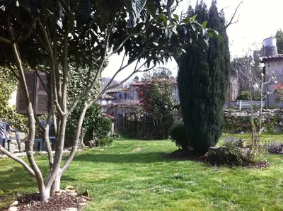 a green yard with a tree in the grass at Casa das Augas Santas in Aguas Santas