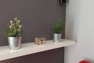 two plants in metal buckets sitting on a shelf at Apartamento en ribeira sacra. Chantada in Chantada