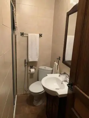 a bathroom with a toilet and a sink and a mirror at La Casa Verde de Sanabria de 3 habitaciones y 2 baños in Cerdillo