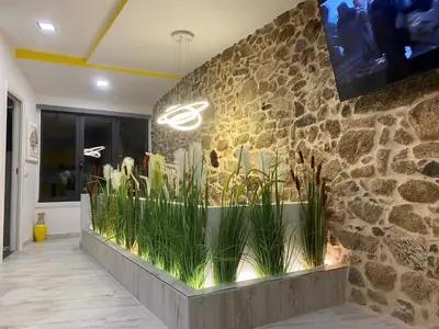 a stone wall with plants in a lobby at As Penedas, Casa dos Arcos in Sober