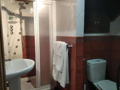 a bathroom with a shower and a toilet and a sink at La Posada de Oscos II in Santa Eulalia de Oscos