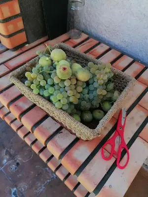 a basket of fruit on a table with a pair of scissors at Casa do Pombar en Valdeorras in Seadur