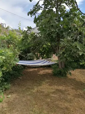 a blue hammock in a tree in a yard at Casa do Pombar en Valdeorras in Seadur