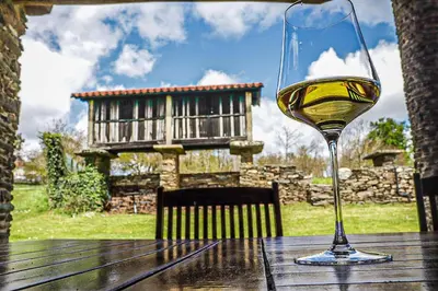 a glass of white wine sitting on a wooden table at Fogar de Lecer in Arzúa