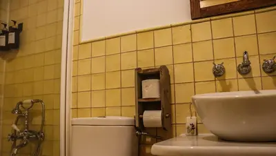 a bathroom with a toilet and a sink at Fogar de Lecer in Arzúa