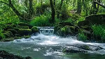 a waterfall in the middle of a stream in a forest at AREA PLAYA VIVEIRO APARTAMENTS , XOVE in Jove