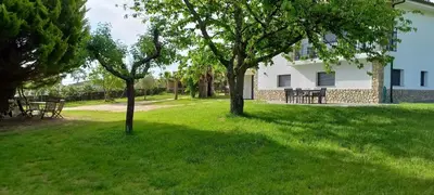 two trees in the grass in front of a house at Finca Bacelo Ribeira Sacra in Sober