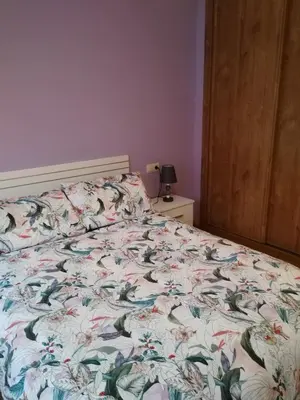 a bedroom with a bed with a floral bedspread at Piso Lomberte in Allariz