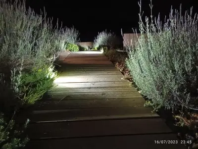 a walkway in a garden at night at Cabañas Huma 1 in Villameitide