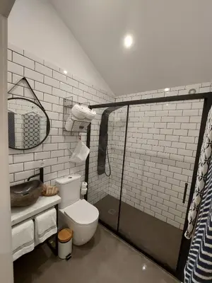 a bathroom with a toilet and a shower at Cabañas Huma 1 in Villameitide
