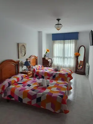 a bedroom with two beds and a mirror at Pension A Barca in O Barco de Valdeorras