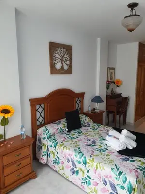 a bedroom with a bed with a laptop on it at Pension A Barca in O Barco de Valdeorras