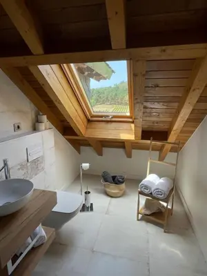 a bathroom with a skylight and a sink at Boutique Finca esencial Hotel Rural in Villafranca del Bierzo
