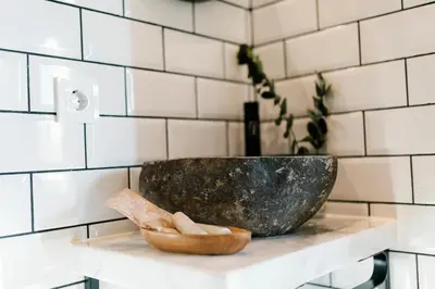 a black bowl sitting on a counter with a plant at Cabañas Huma 2 in Vegadeo