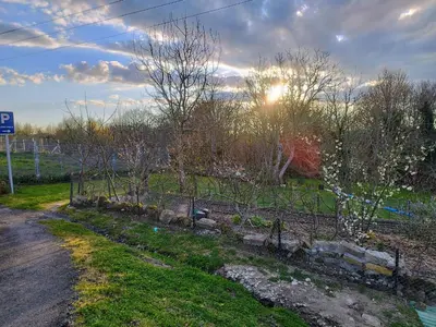 a fence next to a dirt road with trees at Casa Da Vieira in Ourense