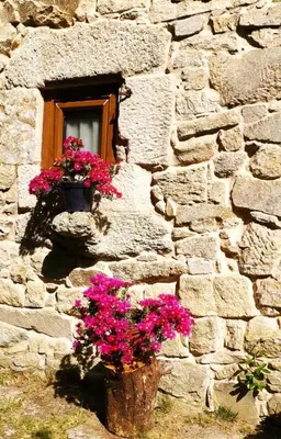 a window with flowers on the side of a stone building at Casa do Castiro in Palas de Rei