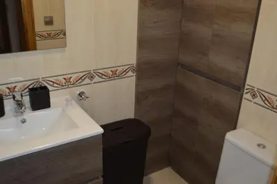 a bathroom with a sink and a toilet at Las Palmeras in Caldas de Reis