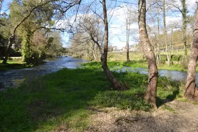 a river in the middle of a field with trees at Las Palmeras in Caldas de Reis