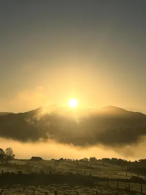 a sunset over a field with the sun in the sky at O Balcon Do Oitaven, vuestra finca privada en Galicia in Pontevedra