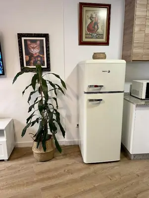 a white refrigerator in a kitchen with a plant at Afiador in Ourense