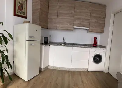 a kitchen with a white refrigerator and a washing machine at Afiador in Ourense