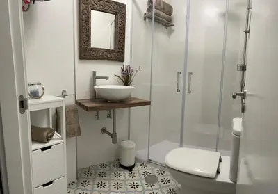 a bathroom with a shower and a sink and a toilet at Afiador in Ourense