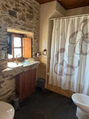 a bathroom with a sink and a shower curtain at Casa Rural Los Cabritos de Tomás in Puebla de Sanabria