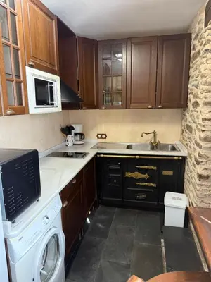 a kitchen with a washer and a sink and a dishwasher at Casa Rural Los Cabritos de Tomás in Puebla de Sanabria