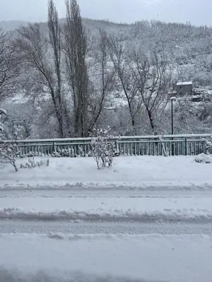 a snow covered road with a fence and trees at Neverending Nature León in Tremor de Arriba