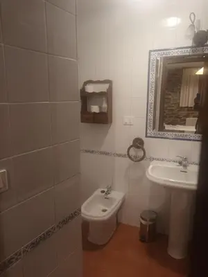a bathroom with a sink and a mirror and a tub at Casa Arza in Tríacastela