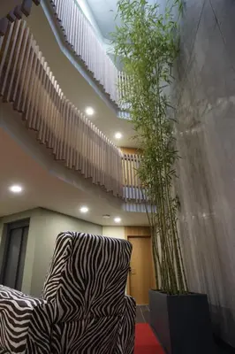 a living room with a zebra print chair and stairs at Lumen Place APARTAMENTOS in Mondoñedo