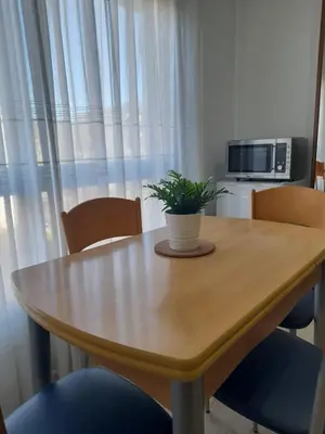 a wooden table with a potted plant sitting on it at Martínez Rooms Pilgrims in Caldas de Reis