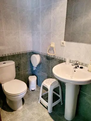 a bathroom with a white toilet and a sink at Vilariño Moscoso in Arzúa