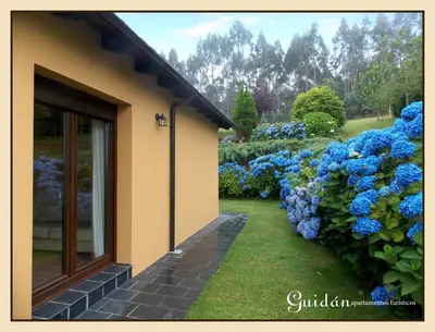 a building with blue hydrangeas in a garden at Apartamentos Guidan in Ribadeo