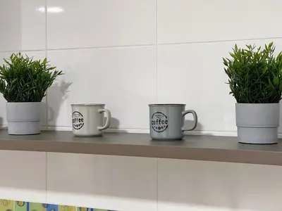 three coffee mugs sitting on a shelf with plants at Oktheway Pedro Saco Street 2 in Sarria