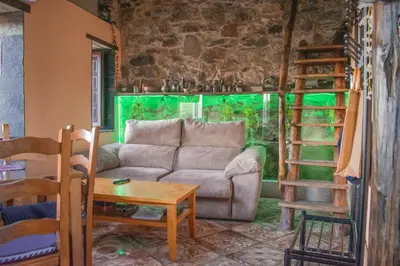 a living room with a couch and a green wall at Casa en zona medieval in Monforte de Lemos