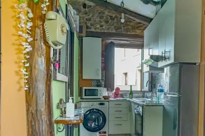 a kitchen with a refrigerator and a sink at Casa en zona medieval in Monforte de Lemos