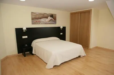 a bedroom with a bed and a painting on the wall at HOTEL BRUMA II in La Gudiña
