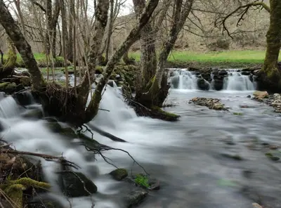 a stream of water flowing through a forest at HOTEL BRUMA II in La Gudiña