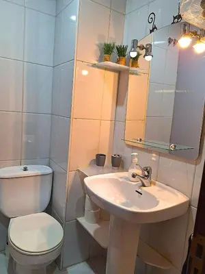 a bathroom with a sink and a toilet and a mirror at Parque da Ponte in Ourense