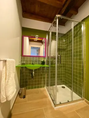a green bathroom with a shower and a sink at Casa do Veiga in Chantada