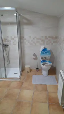 a bathroom with a shower and a toilet with a toilet seat at O fogar da musiña in Maside